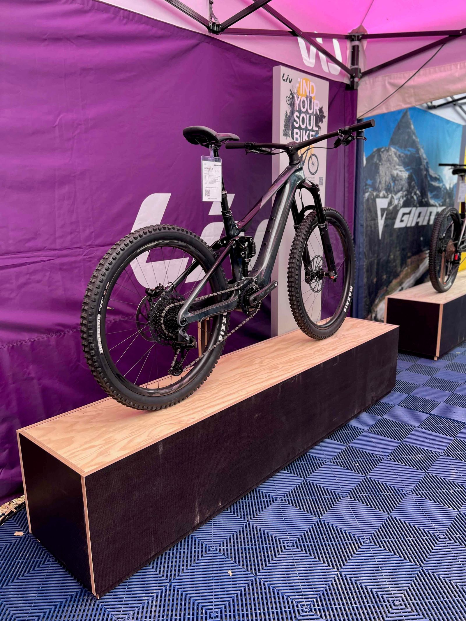 Giant Bikes — Image 5